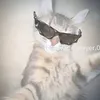 kittychan50