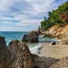 vlore_vlore156