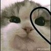 andreeeeees123456