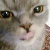 qtrkd