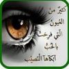 user2402049082309
