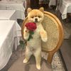 ruby_3447