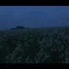 kirza_10