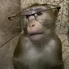 monkeypon1