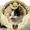 user7406779206331