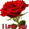 alamin.602