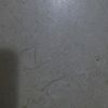 user395262708181