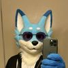 fox_hunter34