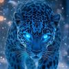 faizan.mirza.245