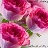 kashif123476
