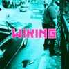 wiking_artist_official
