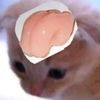 reesesduck