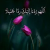 user40158661117384