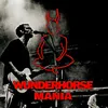 Wunderhorse Mania