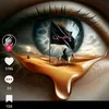 fatemaqhmed19