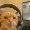 gabri_abri1