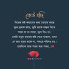 user8487088068044