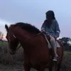 emmxx7879