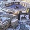 may.mohamed85
