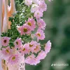 karen.ho7