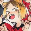 minicashimeow