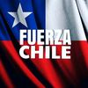 fuerza_chile.2024