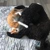 maya.and_benji