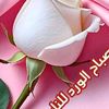 naser.basdouri