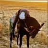 shaimanov.01