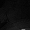 amie.tasri