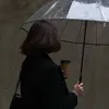 njfjcjcf2