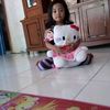 ulfa5541