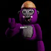 bobvrgt1