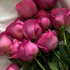om_siraj_2023