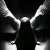 wllxook101