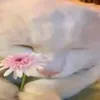 taongditagalupa