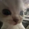 kzamedanvaluat_04