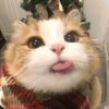 hi_eric_k
