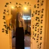 haniaa761