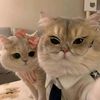 call_me_junkbook_57