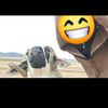 user2019294150930