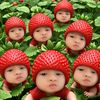 peemai.ploypailin