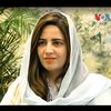 fawad.ik.8