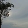 sibungsubandung13