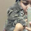 piwmemangmelip