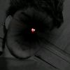 lailin154