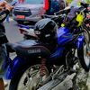 kingbajang135cc