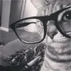 kikipou_is_preppy