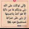 lyly04951