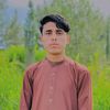 ismailshinwari269